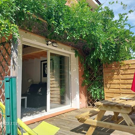 Dormir A Montauban Logements Carreyrat Calme Et Verdoyant Eksteriør bilde